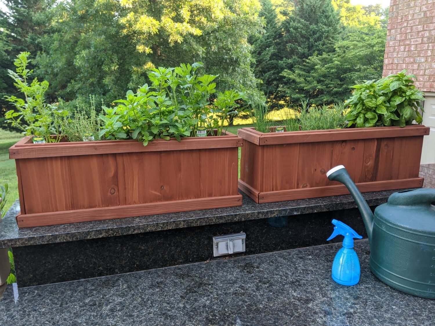 Image of herb garden in 2 planters boxes 