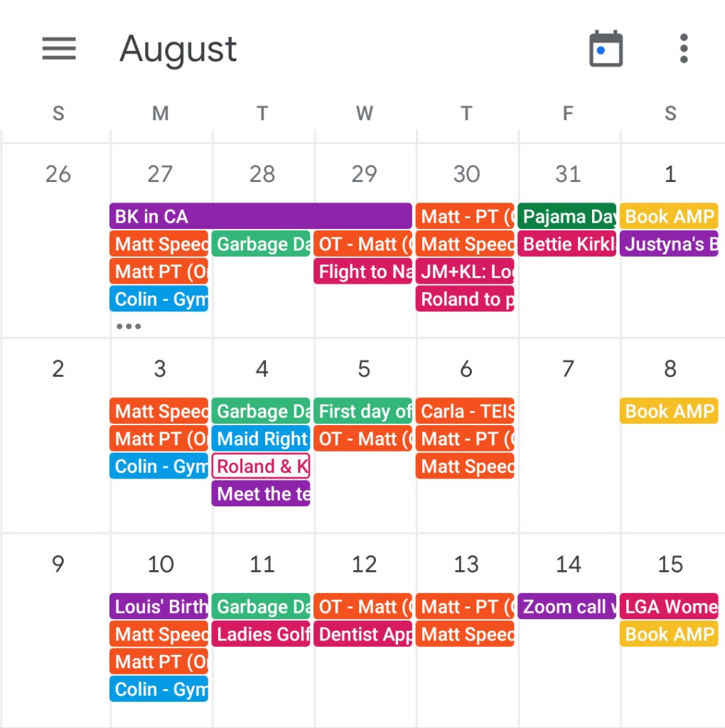 Screenshot of Google Calendar to showcase an organized digital calendar 