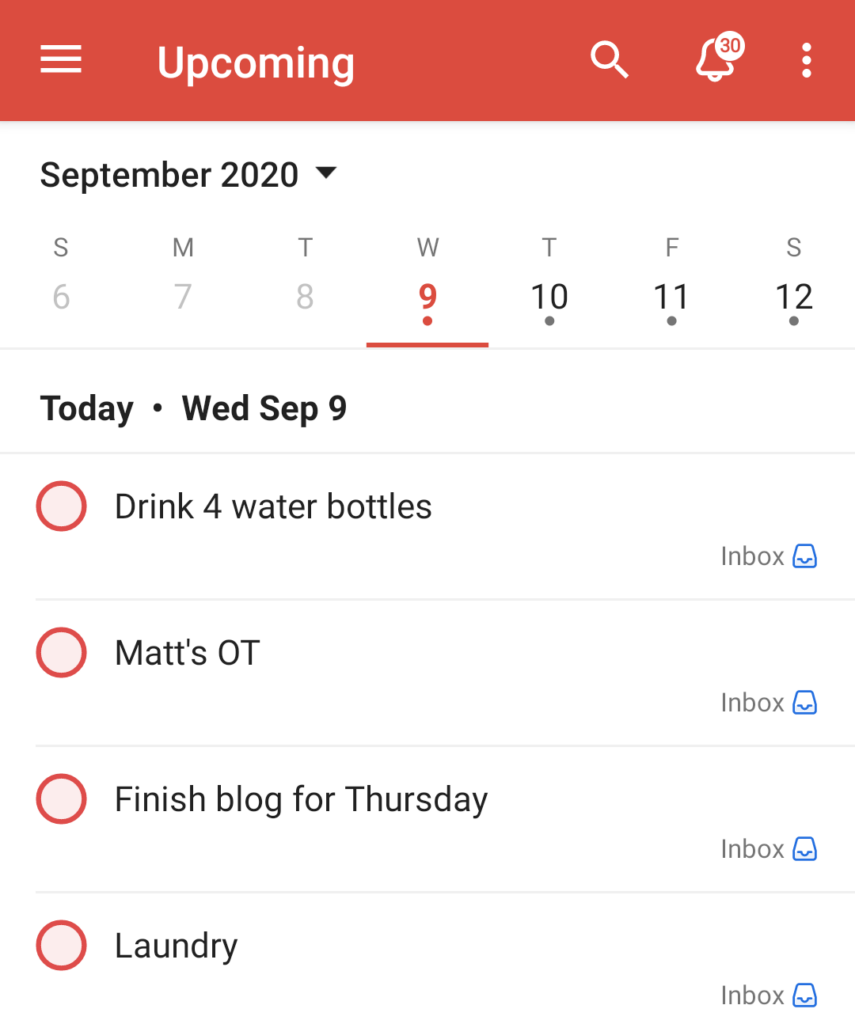 Screenshot of TodoIst to show a visual of an organized digital to-do list. 